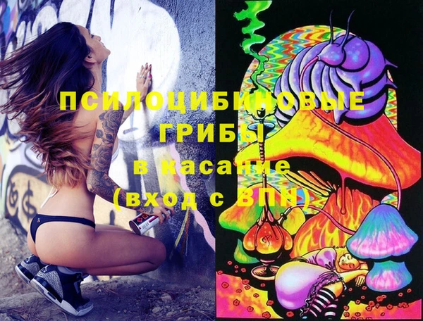 дмт Зерноград