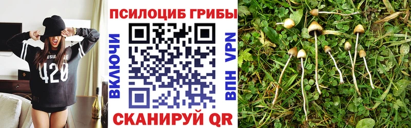 Галлюциногенные грибы ЛСД  Купить где  Каргополь 